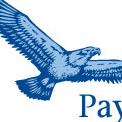 American Payroll logo
